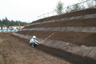 Eco-Stripe Revegetation Method